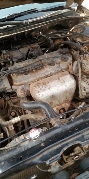 A picture of Honda Baby Boy for Sale or Swap
