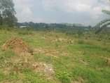 A picture of Land