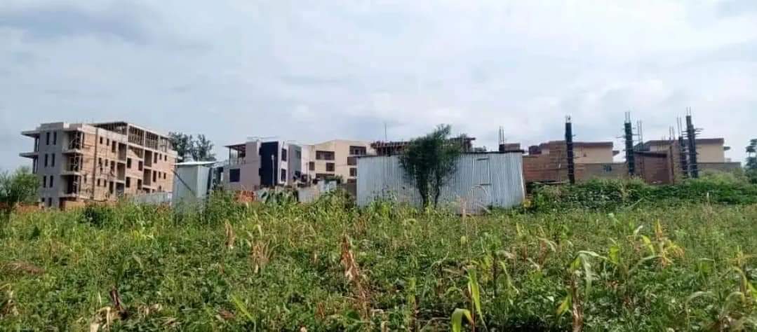 kagugu accommodation