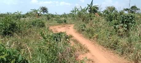 A picture of Land