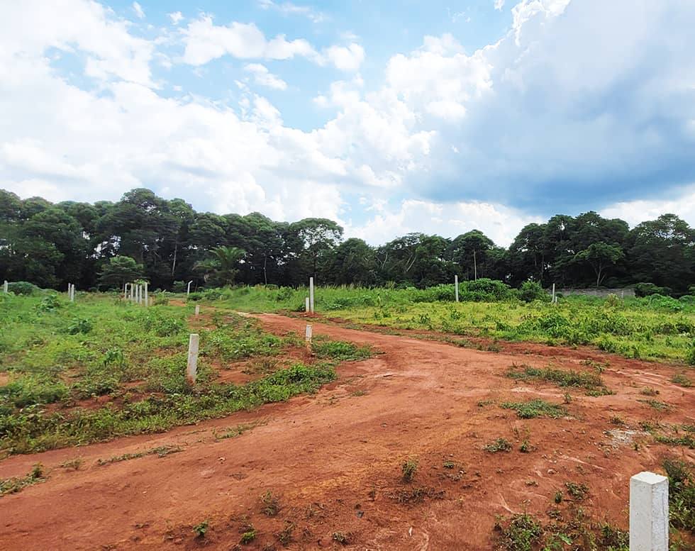 A picture of New prime land at UGX10m 0743362384
