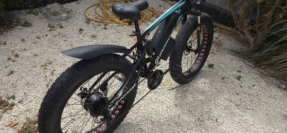 A picture of Electric Bike Guns Roses
