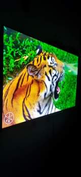 A picture of 40inches skyworth digital TV at only 600k