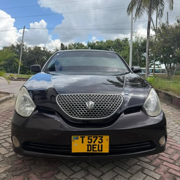 A picture of Car verosa