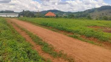 A picture of Kakiri Magogo Estate 100ft by 50ft 12m 15m 0759502757 instalments
