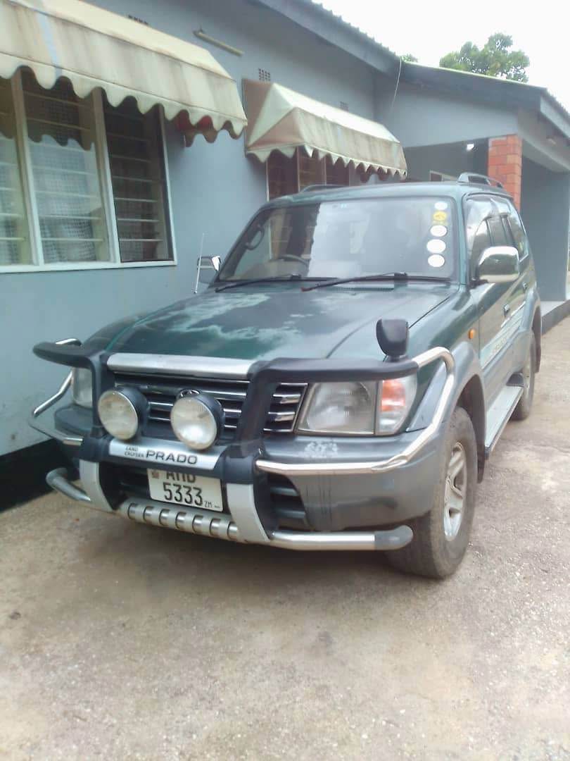 toyota land cruiser