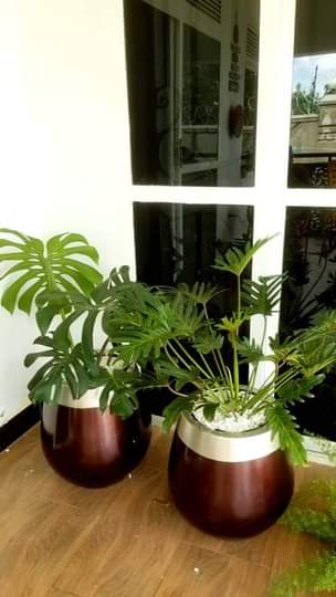 A picture of Rachels outdoor flowers designs