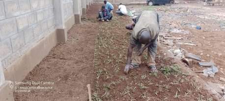A picture of Landscaping services