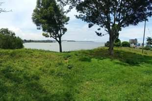 A picture of Land