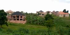 A picture of BIG PLOT WITH HOUSE ON SALE 50 100FT READY TITLE
