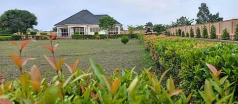 A picture of HOUSE FOR SALEPLOT SIZE 7 ACRES It has 5 bedrooms