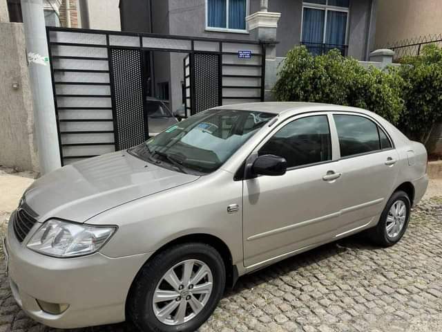 cars