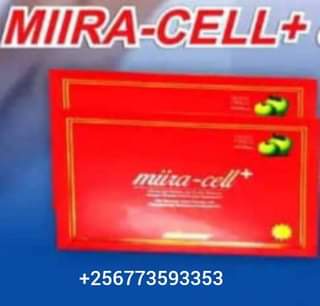 A picture of Mirra cell