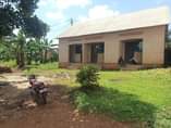 A picture of 3bouble room on Quick sale 31m located at kawanda Seated