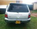 A picture of Subaru Forester