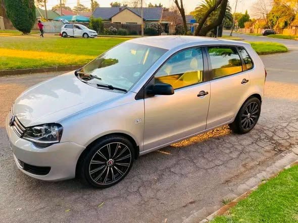 polo vivo