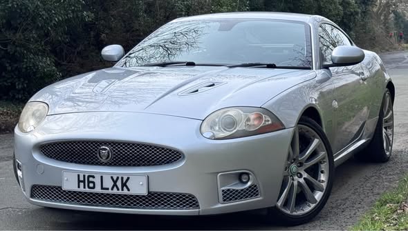 jaguar