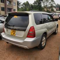 A picture of FORESTER XT 2003 17M