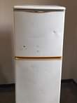 A picture of Friji