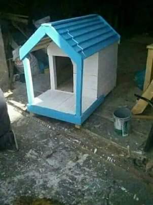 USED C.
