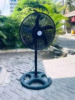 fans