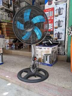 fans