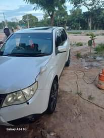 A picture of Subalu foresta XT