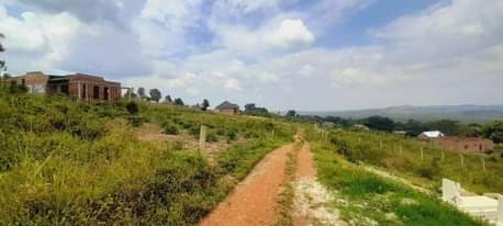 A picture of 50 100ft titled plots at our kakiri kikugi Hillview estate
