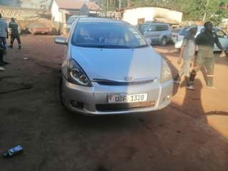 A picture of Wish on market contact