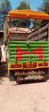A picture of Kipo sokon