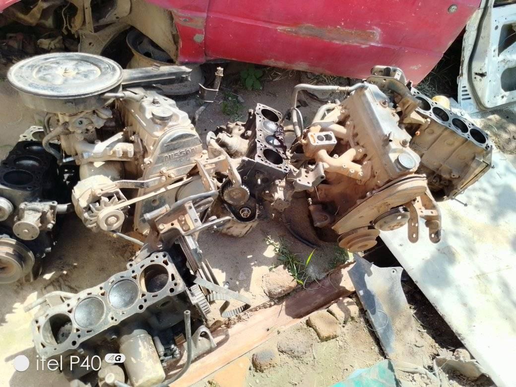 used nissan sunny