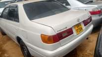 A picture of m Premio 1 8