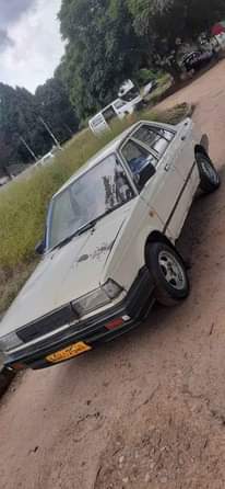 used nissan sunny