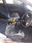 A picture of Carina gt