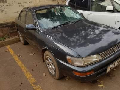 A picture of Toyota Corolla kikumi