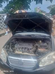 A picture of 08114560910 Serious buyer only is needed to call my number