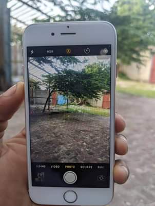 A picture of IPhone 6s