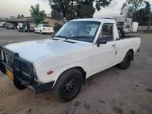 nissan champ