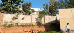 A picture of Kibiri munyonyo express way plot on quick sale