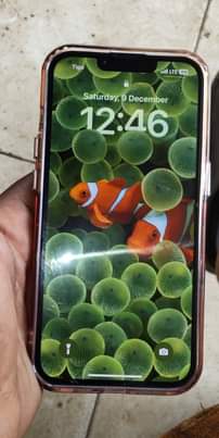 A picture of IPHONE 13 PRO