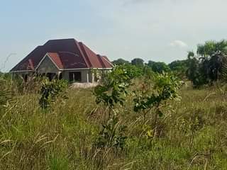 A picture of KIWANJA MILION 4 KIGAMBONI MITA 25KWA 25 CALL 0742121038