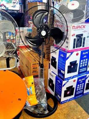 A picture of Fans fans fans