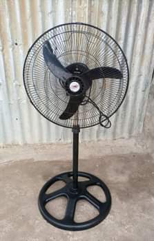 fans