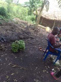 A picture of 3.5 FERTILE ACRES FOR SALE IN NAKASEKE KAPEEKA KAKINZI VILLAGE