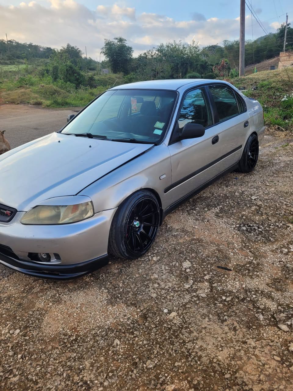 cars