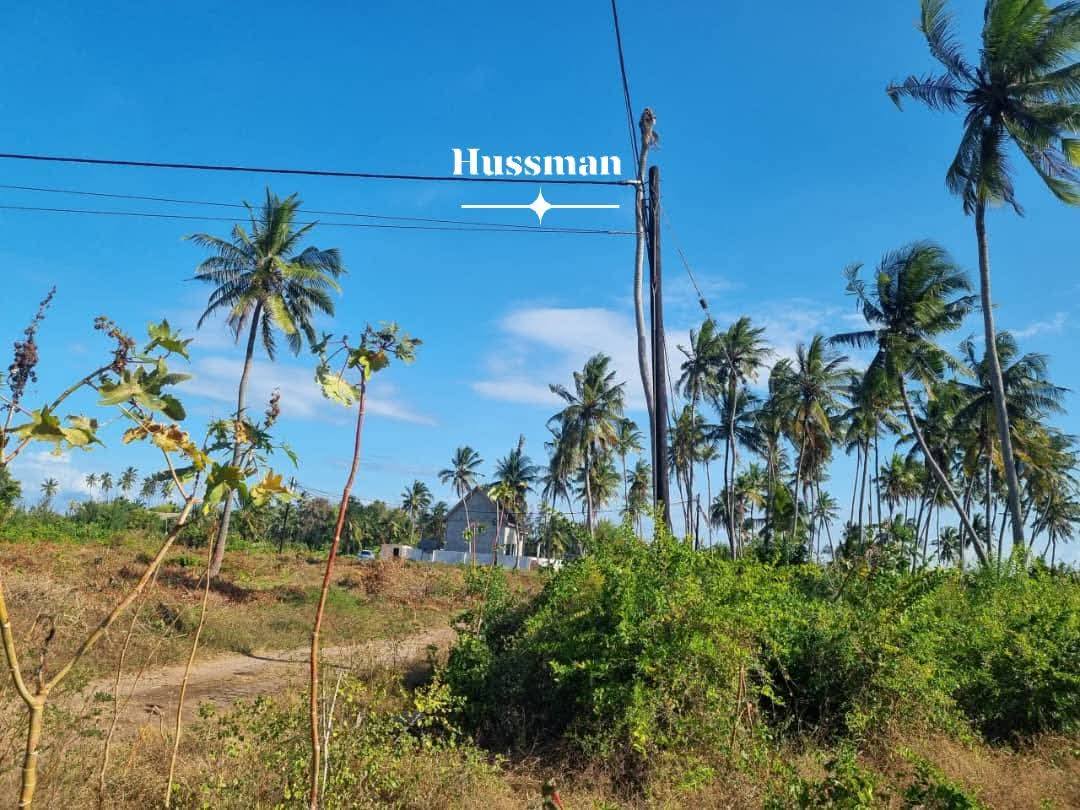 A picture of Beautiful Land Near the Beach Available for Sale in Jambiani