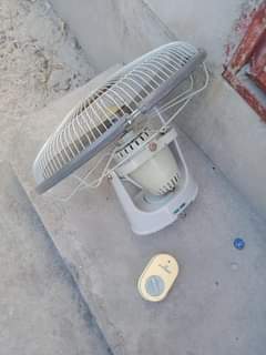 A picture of Feni ya juu