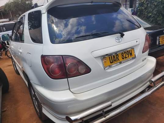 A picture of Harrier ordinary on sale