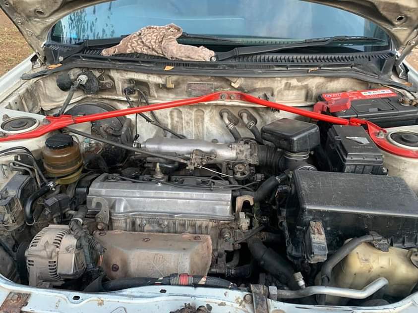 A picture of Toyota Rav4