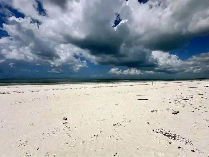 A picture of Beach plot